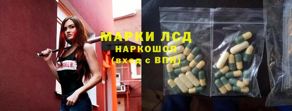 сатива Беломорск