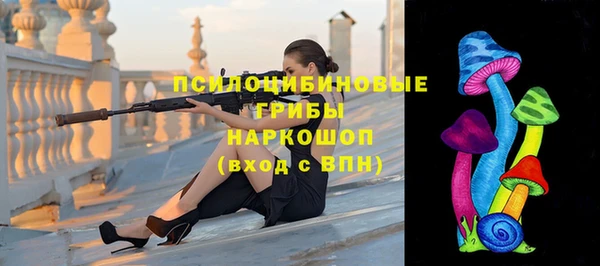 a pvp Белокуриха