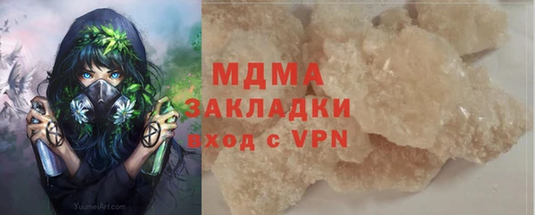 сатива Беломорск