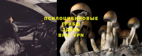 a pvp Белокуриха