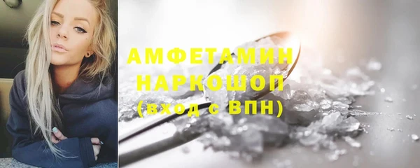 сатива Беломорск