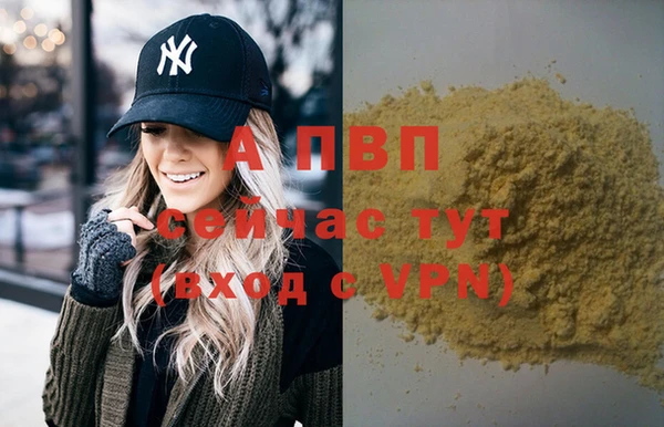 a pvp Белокуриха