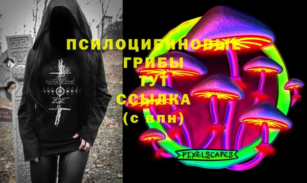 a pvp Белокуриха