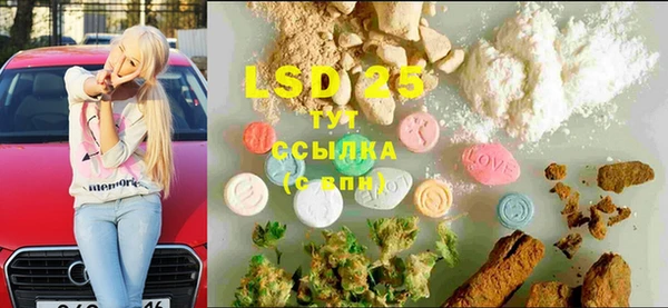 сатива Беломорск