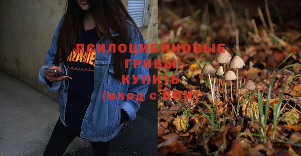 прущая мука Белоозёрский