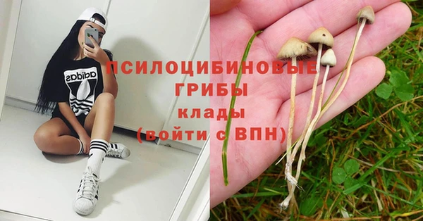 прущая мука Белоозёрский